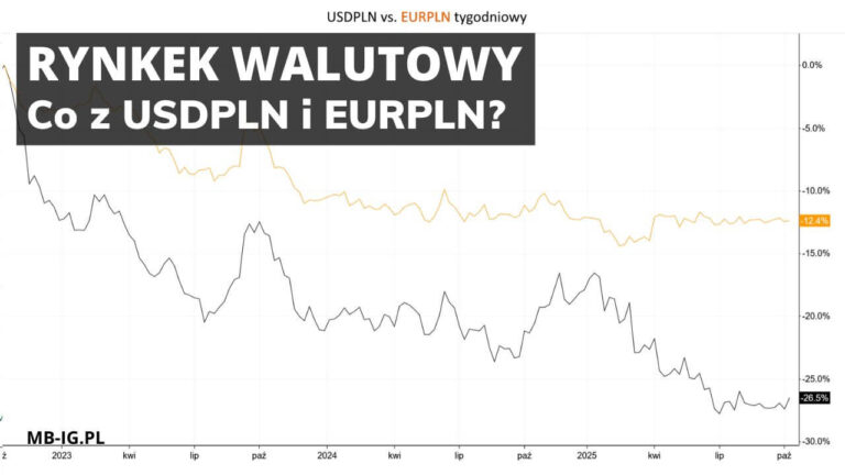 Złoty w relacji z Dolarem i Euro