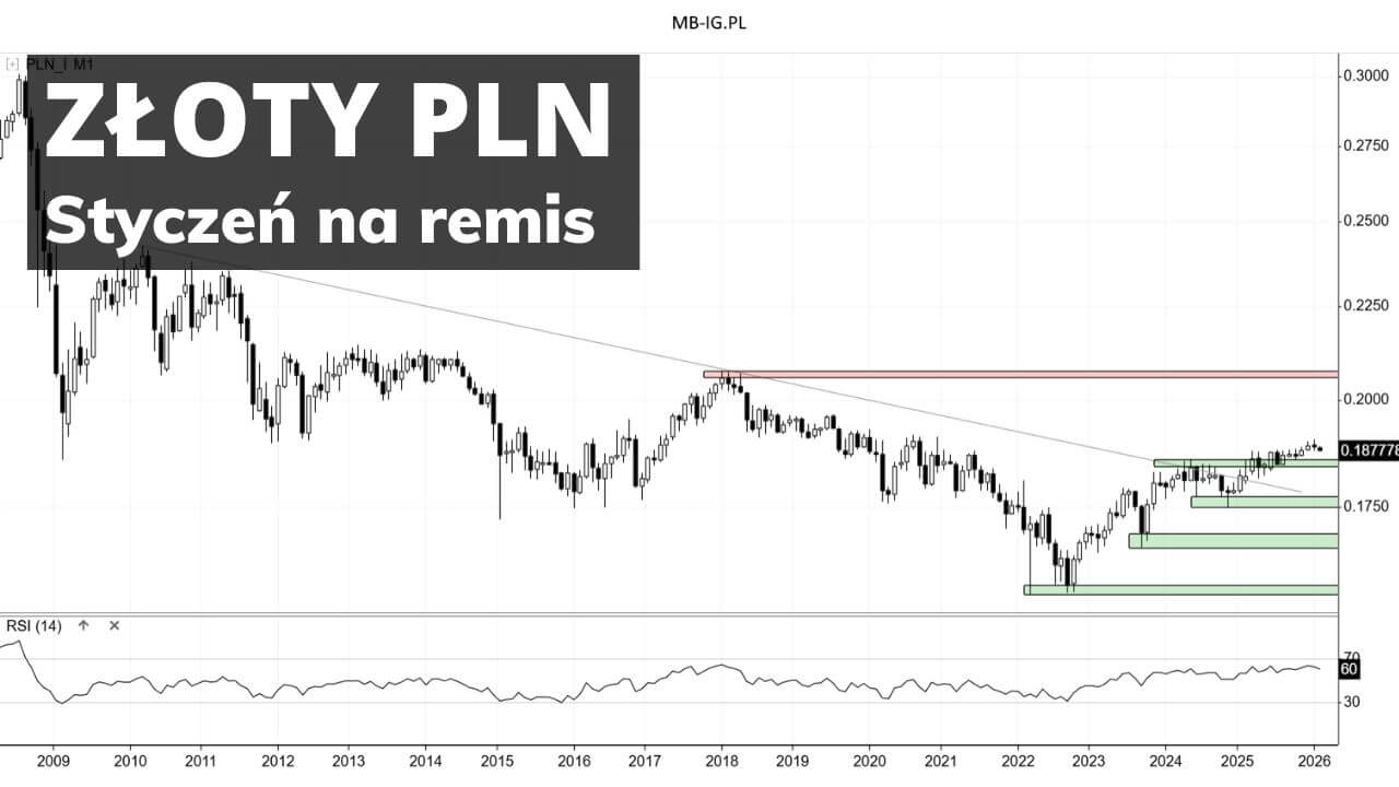 Co zrobi Złoty PLN w lutym 2026 r.?