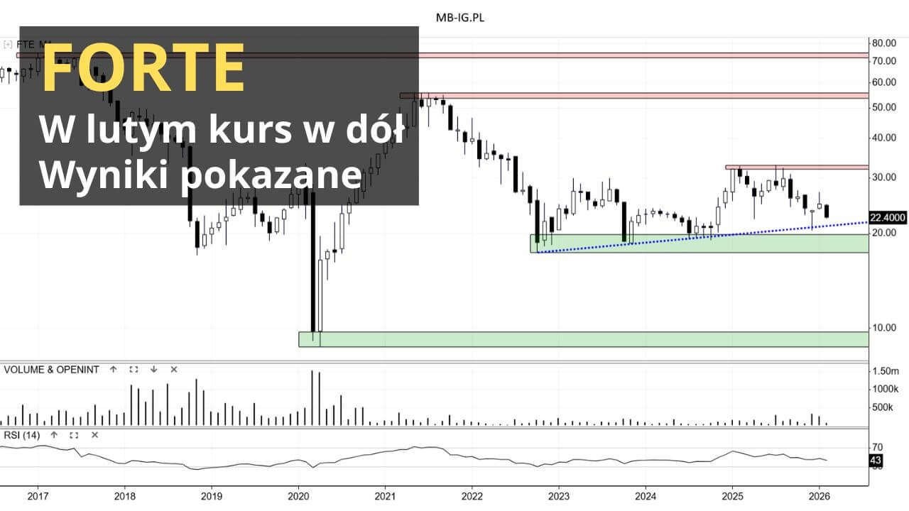 Forte po danych za 3Q obrotowy