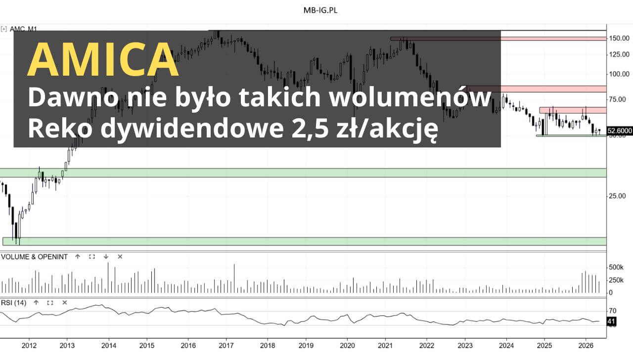 Amica przed wynikami za 1Q