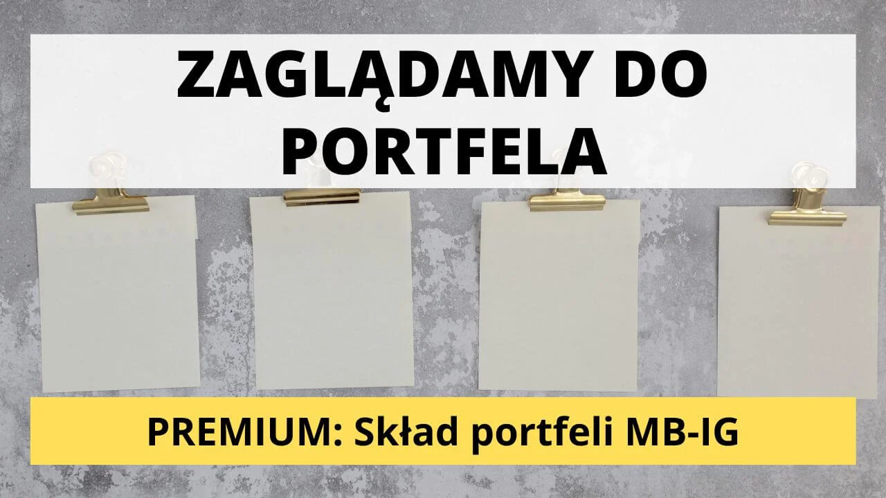 Skład portfela MB-IG