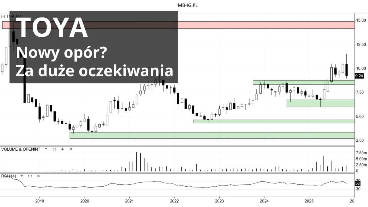 Nerwowy listopad na Toya SA
