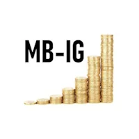 MB-IG icon 2026
